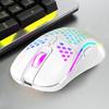 Ergonomic Design RGB Lighting Mouse Rechargeable 2.4G Wireless Mouse Gaming Mouse  PC