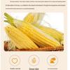 Biodegradable Corn Starch Takeaway Container