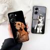 Husky Golden Retriever Dog Phone Case for Samsung Galaxy S22 S21 S20 FE Ultra Plus A35 A36 A37 A33 A34 A04 A71 Cover Casing