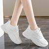 New Spring 2025 Fashionable Thick-soled Height-increasing Casual Single-shoe Mesh Lightweight Running Women's Shoes