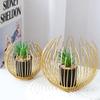 Iron Handicrafts Nordic Creative Luxury Simulation Plant Ornaments Flower Pots Desktop Potted Plants Home Decoration Ornaments
