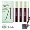 Ousidang Charcoal and Carbon Pencil Art Sketch Set - Speed Sketching with Dedicated Brushes, 14B & 16B