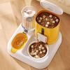 Automatic Pet Feeder 2-in-1 Pet Food Feeder And Water Dispenser Large Capacity Cat Feeding Station for Small Medium Cats Dogs