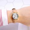 Casio LTP-V002 Women's Analog Watch Brown/Silver Standard Quartz Movement