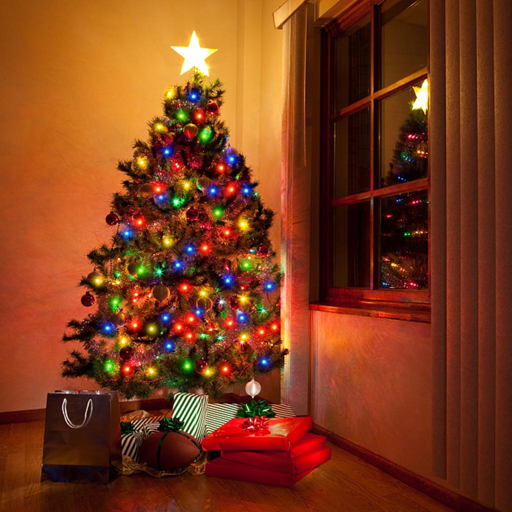 30M 20M 50M 10M 100M LED String Light 24V RGB Warm White Waterproof Outdoor Garland Christmas Decoration Garden Xmas Lights