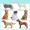 Shiba Inu Simulated Golden Retriever And Border Collie Pet Dog Ornament Model