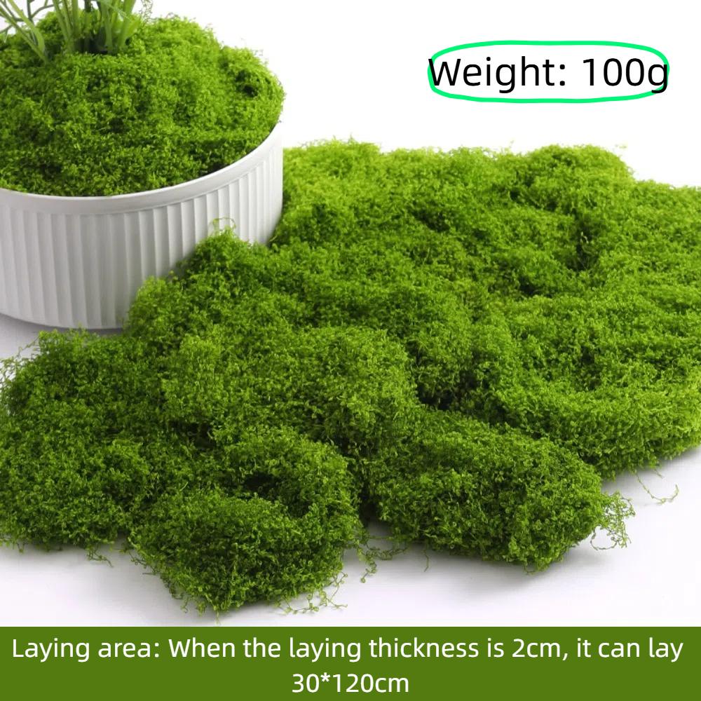 

100 г Искусственный мох Зеленый мох Мини-ландшафт Миниатюрная сцена Мох для поделок своими руками Террариум Стабилизированный растительный мох Декор для сада