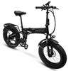 Bicicletă Electrică Adult 1000W Masculin 48 v13ahBaterie E-Mountain ebike , 20 inch 4.0 Anvelopă Lată Bicicletă Electrică Masculină