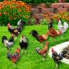 Rooster Yard Decoration Insert - Hollow Card for Garden Party Lawn