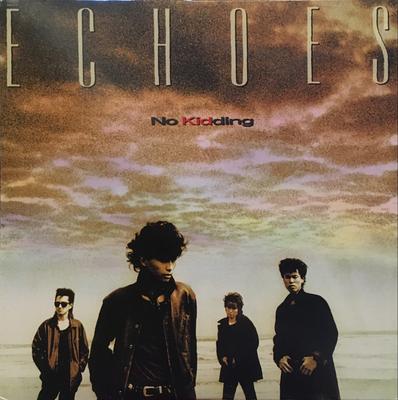 LP Record ECHOES  No Kidding 20AH2118 CBS SONY 1986 Japan Japanese PopRock Used