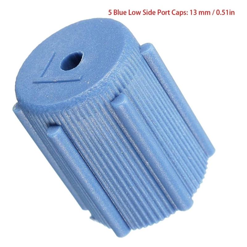 10 Pezzi Tappi di Servizio per Aria Condizionata R134a Protezioni Tappi Porta di Carica Lato Alto e Basso Guarnizioni 13mm & 16mm Manutenzione Auto