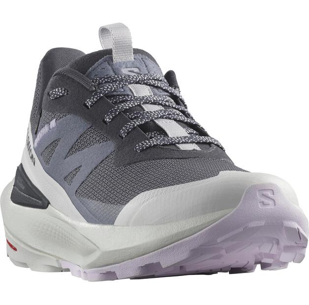Треккинговые ботинки Salomon Elixir Activ Goretex