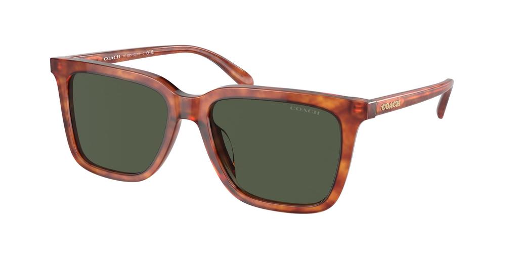 Coach Sunglasses HC8385U CL910 CARAMEL TORTOISE 54