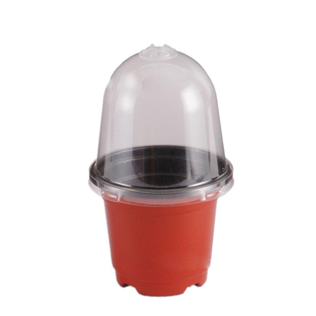 5/10/15/20 Stück Kunststoff-Baumschultöpfe Saataussaattopf Blumentopf Container für Sukkulenten Setzlinge