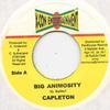 7inch Record CAPLETON - Big Animosity X Con Entertain 1999 Jamaica Reggae, Ska & Dub