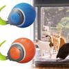 Cat Tail Speedy Toy Electric Interactive Pet Toys Indoors Smart Ball Rolling
