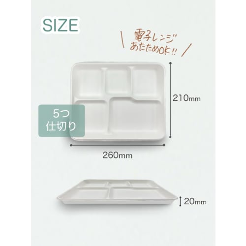 Toshin Disposable Eco Bagasse Commercial Divider Plates, 21cm X 26cm Wide, 3 Plates X 10 Packs (30 Plates Total), Microwave Safe, White, SP30