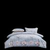 Mengjie Cloud Dream Flower Garden Super Soft Brushed 4-Piece Bedding Set