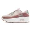 Nike Air Max 90 LV9