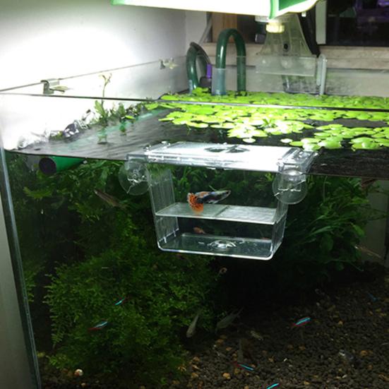 Aquarium Hatching Incubators Large Space Double Layer Transparent Plastic Fish Tank Breeding Isolation