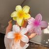 Kreuz Hibiskus Krallenclip 2024: Elegantes High-End-Haaraccessoire für Damen für Dutt & Große Frisuren