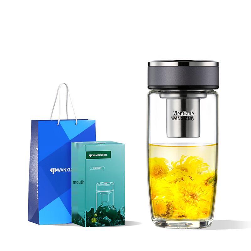 Portable Glass Water Bottle with Tea Infuser