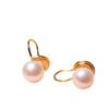 Versatile Non-piercing-free Ear Clips with Mosquito Coil Tray Design, 11k Gold Accent Fashion Large Natural Freshwater Pearl Earrings for Women
