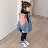 Giacca da ragazza primaverile e autunnale color block a maniche lunghe antivento con cappuccio e zip traforata