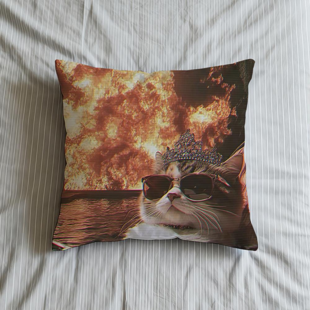 

Cushion Cover Soft Meme Case Funny Sofa Living Room Home Comfortable Office Decor Cat Protective Pillow 30cmx30cm