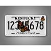 1pc Personalized Custom Text License Plate 6x12 Inch Metal Tin Sign Wall Decor Auto Tag