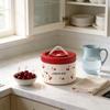 Fairy Cherry Pattern Food Container With Leakproof Sealing For School And Workplace