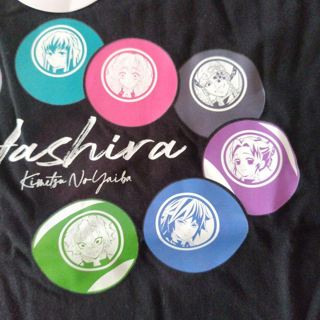 [USED] Demon Slayer: Kimetsu No Yaiba Hashira Women's T-Shirt LL Hashira