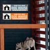 1pc Retro Vintage Aluminum Dog House Sign Custom Text 15.75x3.94 Inch Street Decor for Pet Lovers