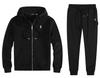 Herren Velours Polo Hoodie Set mit gesticktem Pferde-Logo