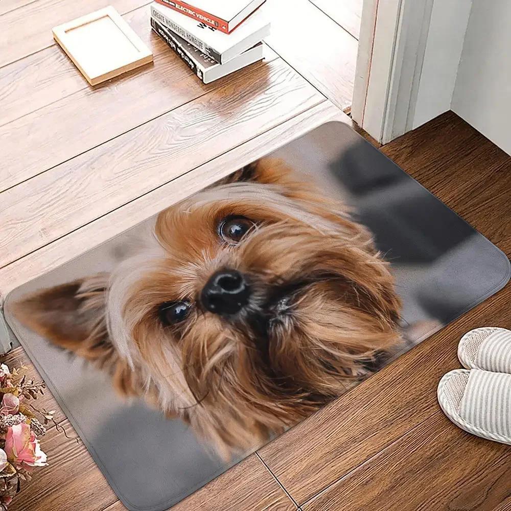 Bedroom Balcony Non-Slip Rug Entrance Door Mat Floor Dog Funny Pug Schnauzer Kitchen Living Room