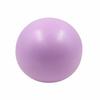 Bekkenbodem Bal Compact Rond Pilates Anti-lek