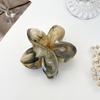 Gradient Flower Hair Accessories Set Beach Style Hairpins Flower Claw Clips Summer Flower Hairpins Hawaiian Style