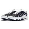 Nike Air Max Plus White Black Metallic Pewter CT1094-102