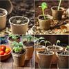 Biodegradable Seed Starter Pots Pulp Paper Transplanters Peat Flower Plant Seedlings Germination Tray Garden Eco Friendly