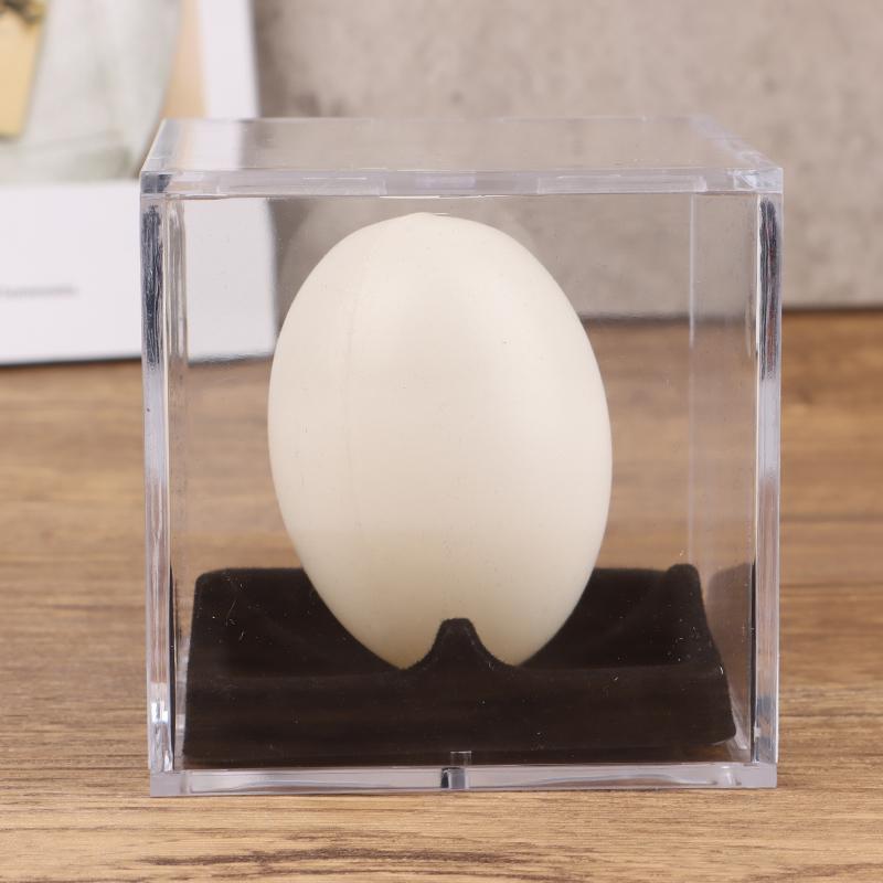 Baseball Box Display Golf Tennis Ball Transparent Case For Souvenir Storage Box