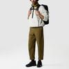 THE NORTH FACE Sweatshirts Men's White Stand Collar Moderate Straight Fit NF0A7URN-N5I