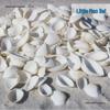 Natural White Shell Mediterranean Wall & Floor Conch Stickers