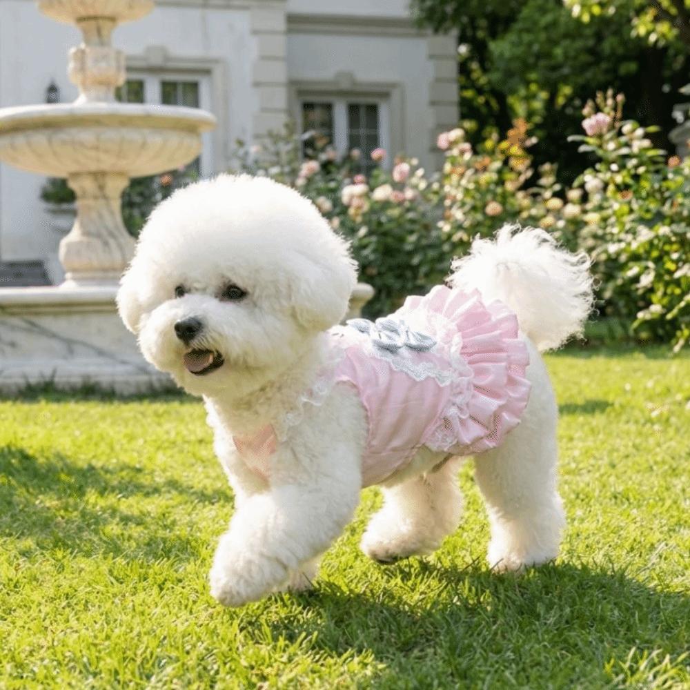 Lace Strap Pet Lace Dress Bow Knot Dog Puff Skirt Dog Princess Dress  Outdoors Activities