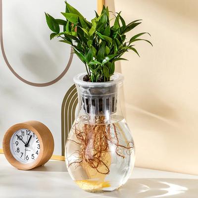 Domácí výzdoba – Vázy