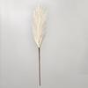 Nordic Bohemian Pampas Grass: 55cm Artificial Cattail & Preserved Flowers