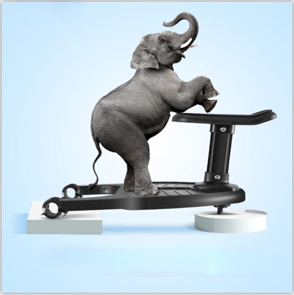 skateboard kid buggy board