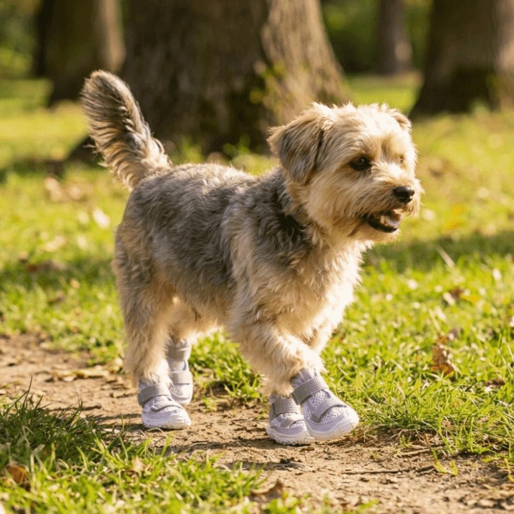 4PCS/SET Comfortable Pet Sandals Adjustable Dog Mesh Shoes Anti Slip Dog Shoes  All Seasons