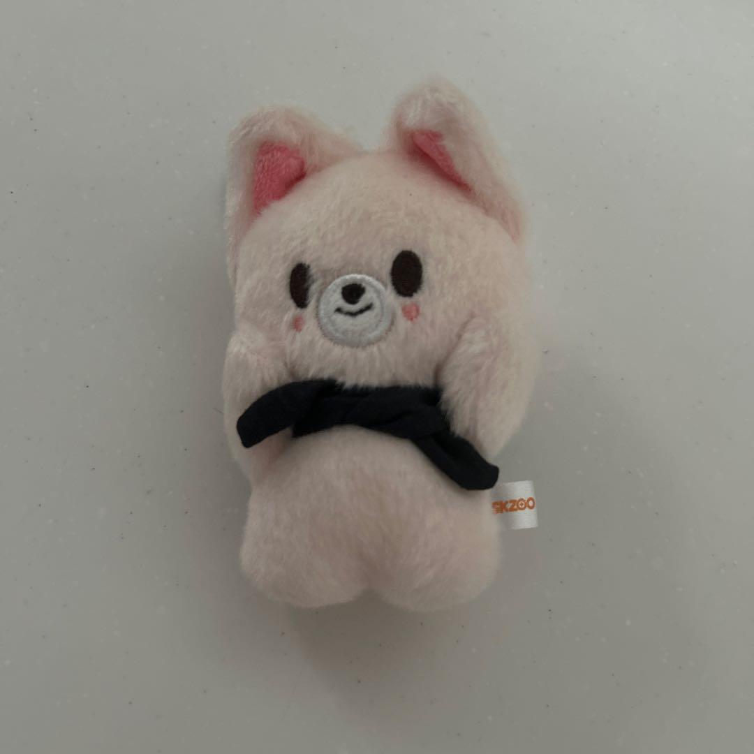 

[USED] straykids ien keyring