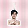 Zhang Ruoyun Cute Luggage Tag & Backpack Pendant - Anti-Lost Travel Case & Keychain Ornament with Support Lanyard Gift.