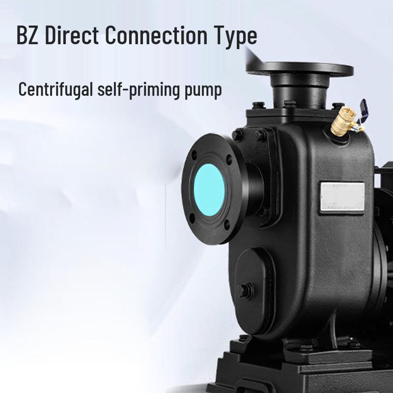 Deli Self-Priming Centrifugal Water Pump